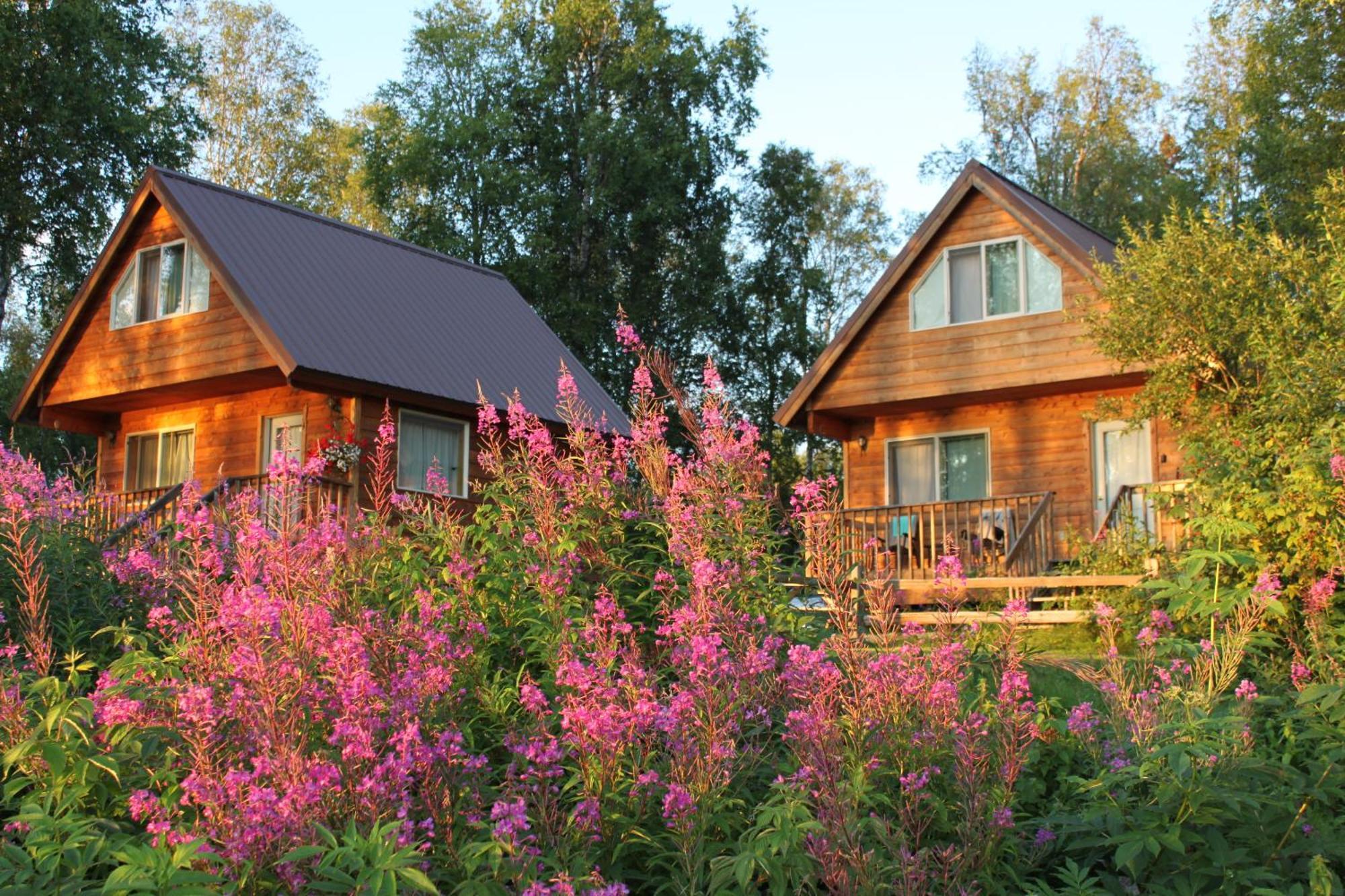 Susitna River Lodging, Riverside Cabins Талкитна Екстериор снимка
