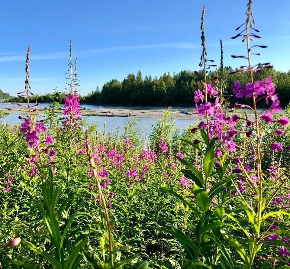 Susitna River Lodging, Riverside Cabins Талкитна Екстериор снимка