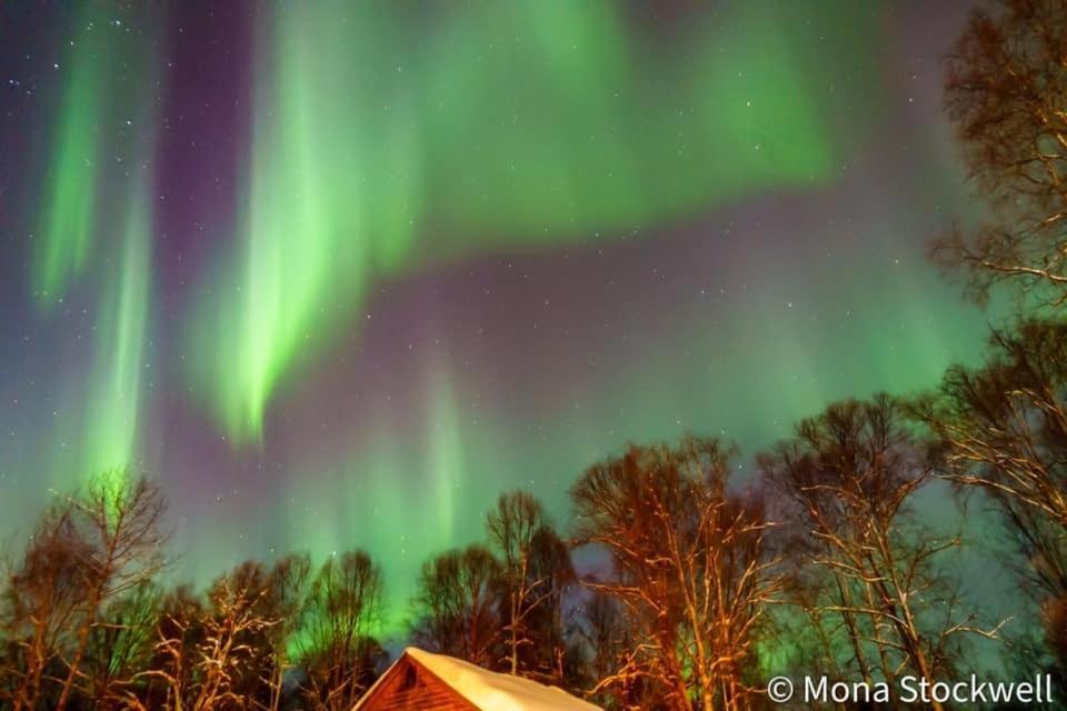 Susitna River Lodging, Riverside Cabins Талкитна Екстериор снимка